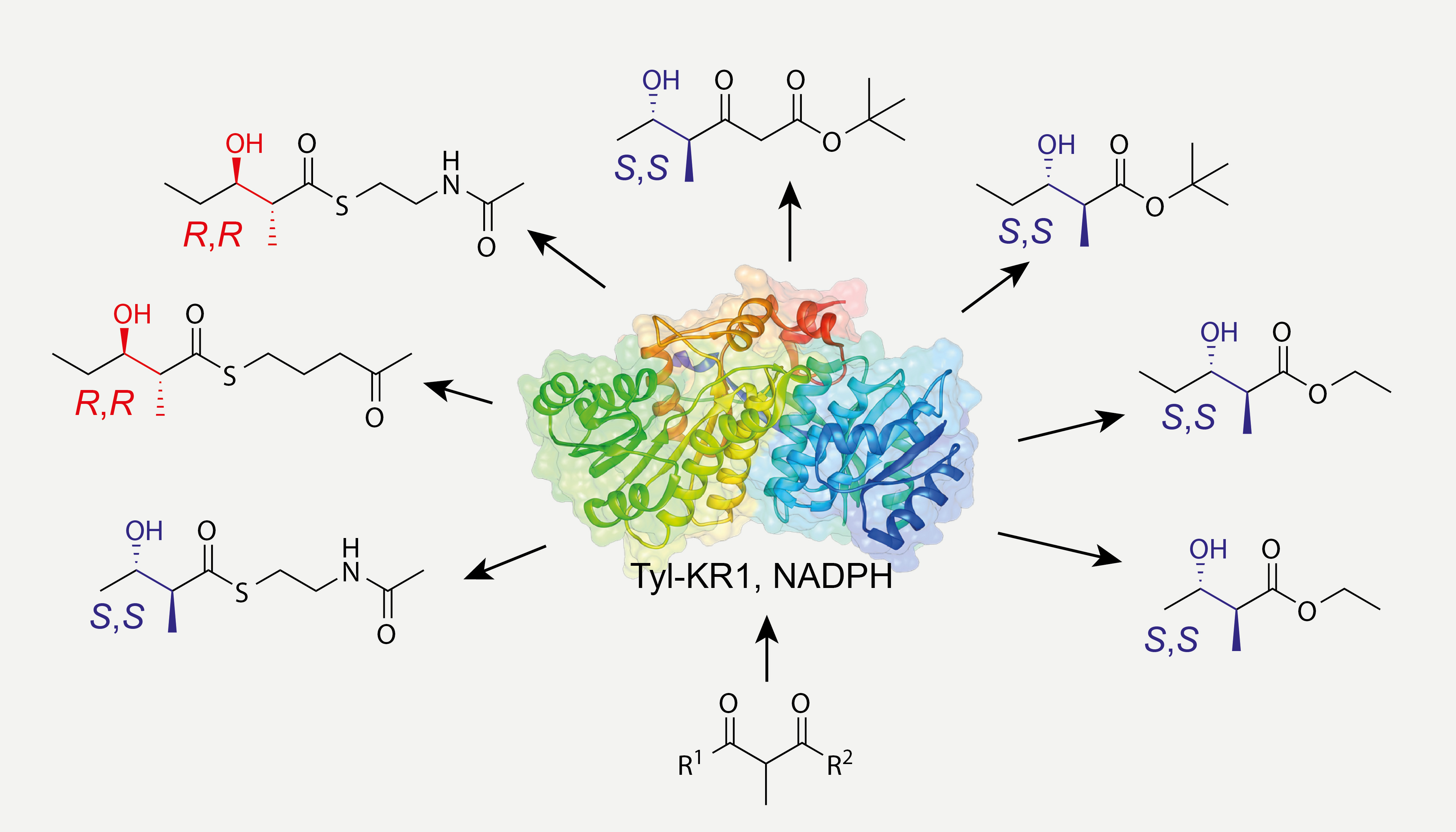 5-tyl-kr1-reactions.jpg