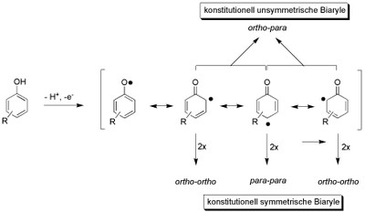 OxPhK1