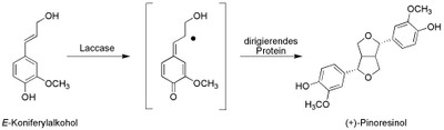 OxPhK2